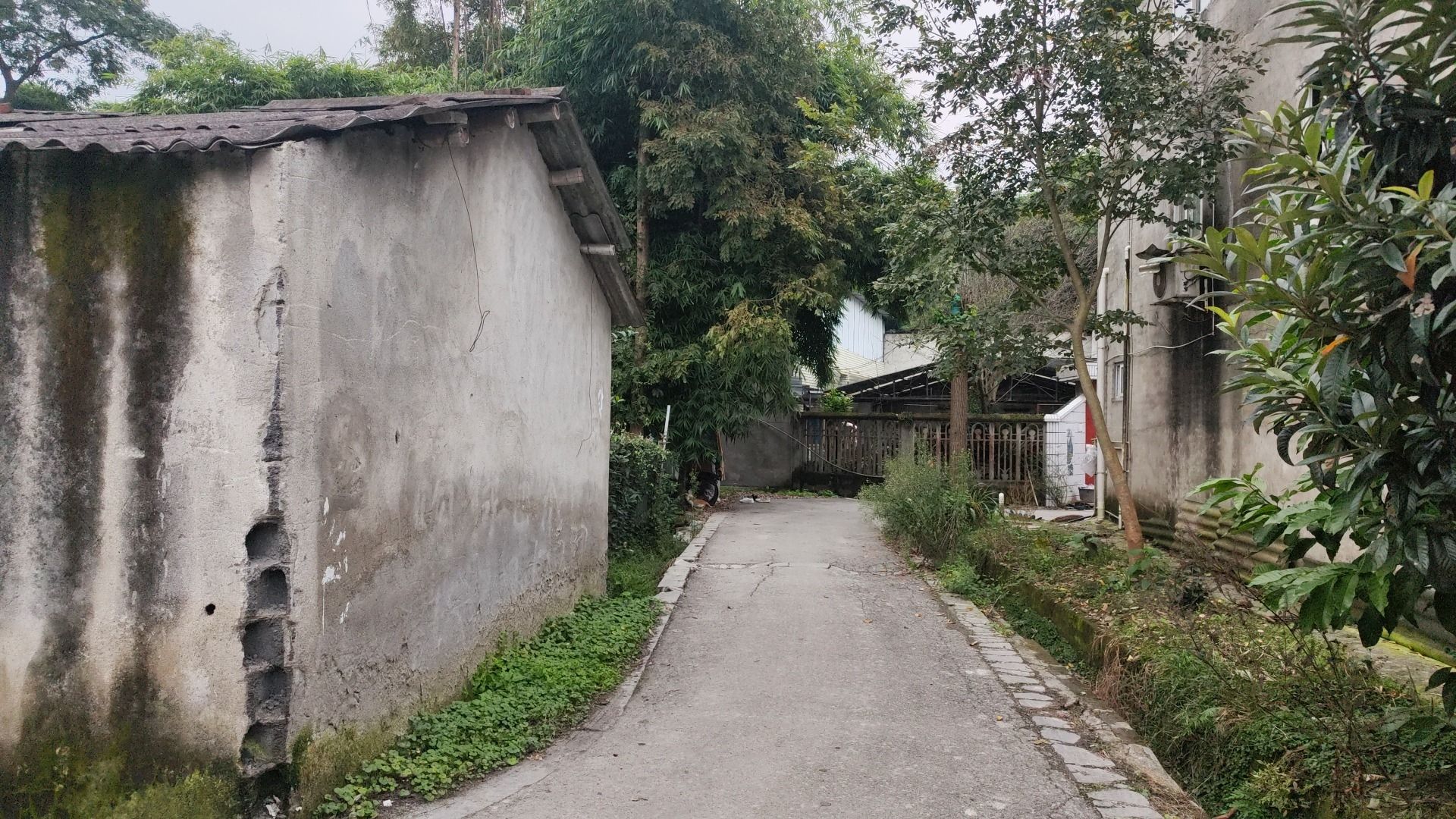 邓家祠堂旅行图片 1