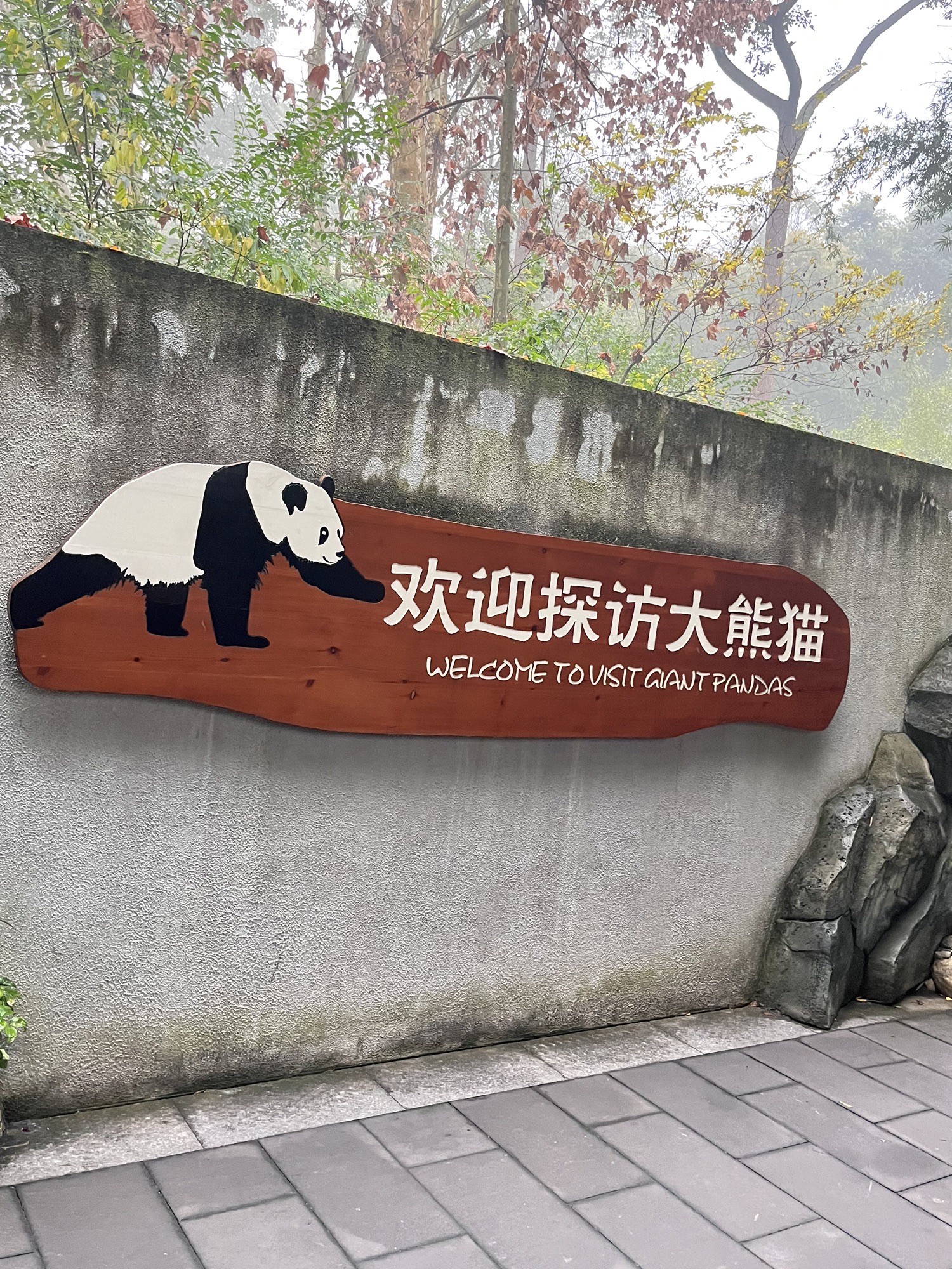 熊猫基地现场照片 13
