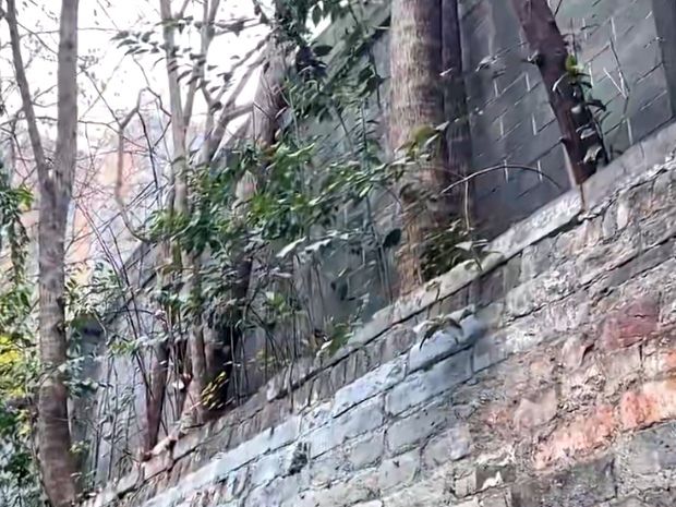 成都东门城墙遗址旅行图片 3