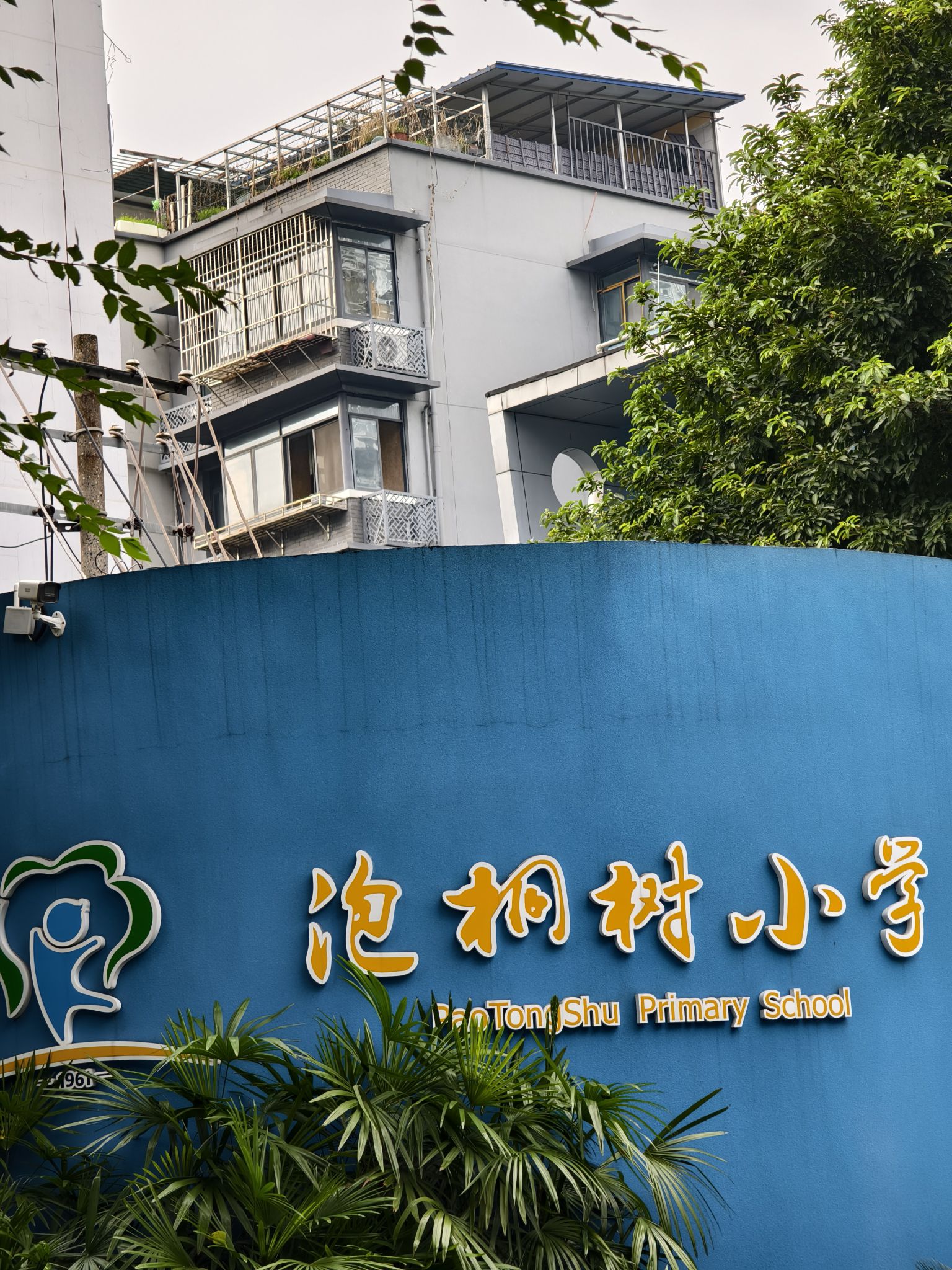 成都市泡桐树小学(青羊校区)
