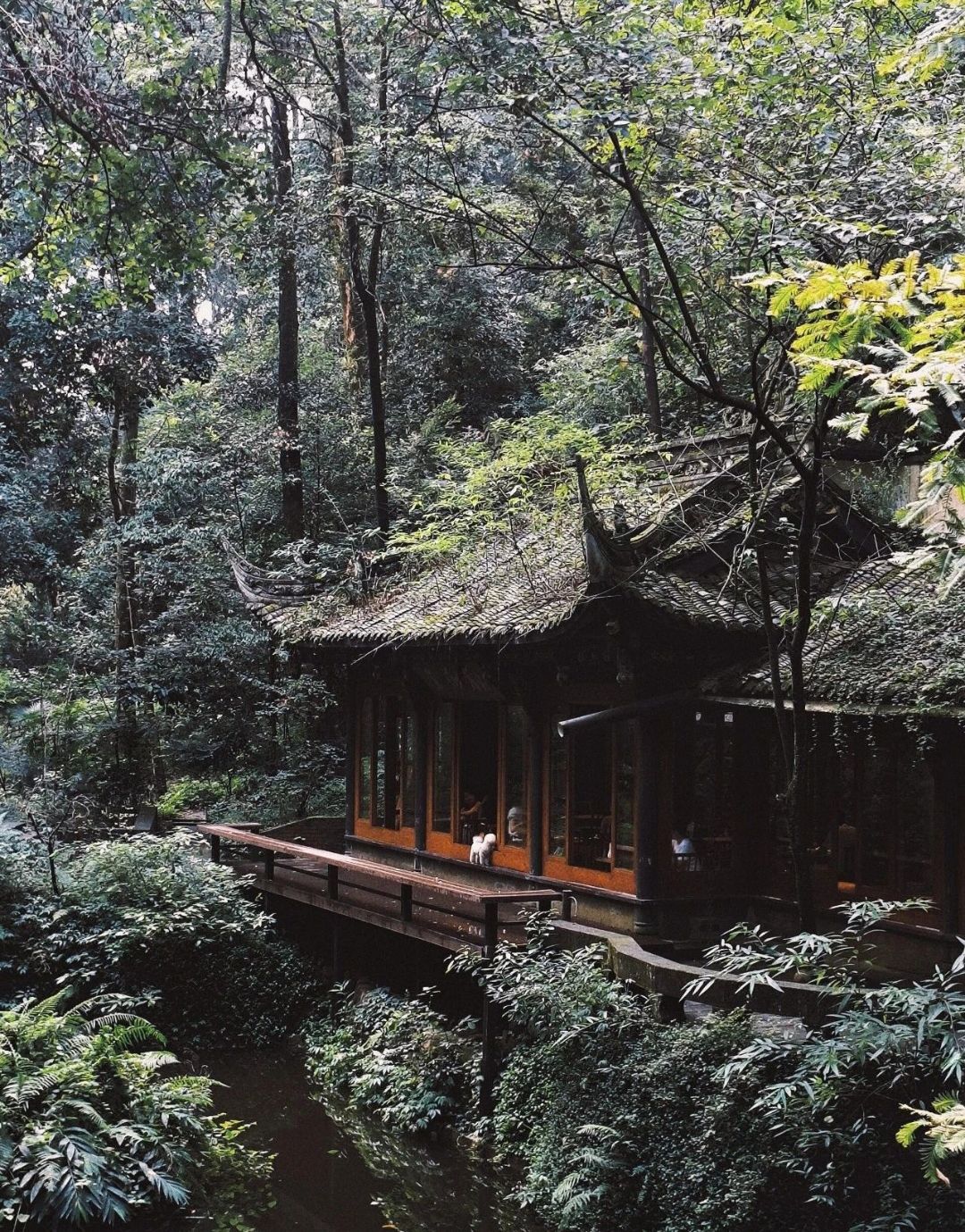 街子古镇旅行图片 3