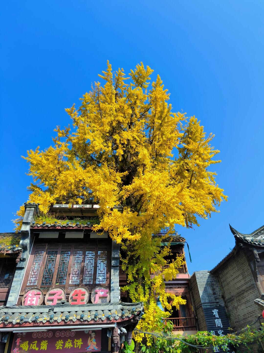街子古镇旅行图片 2