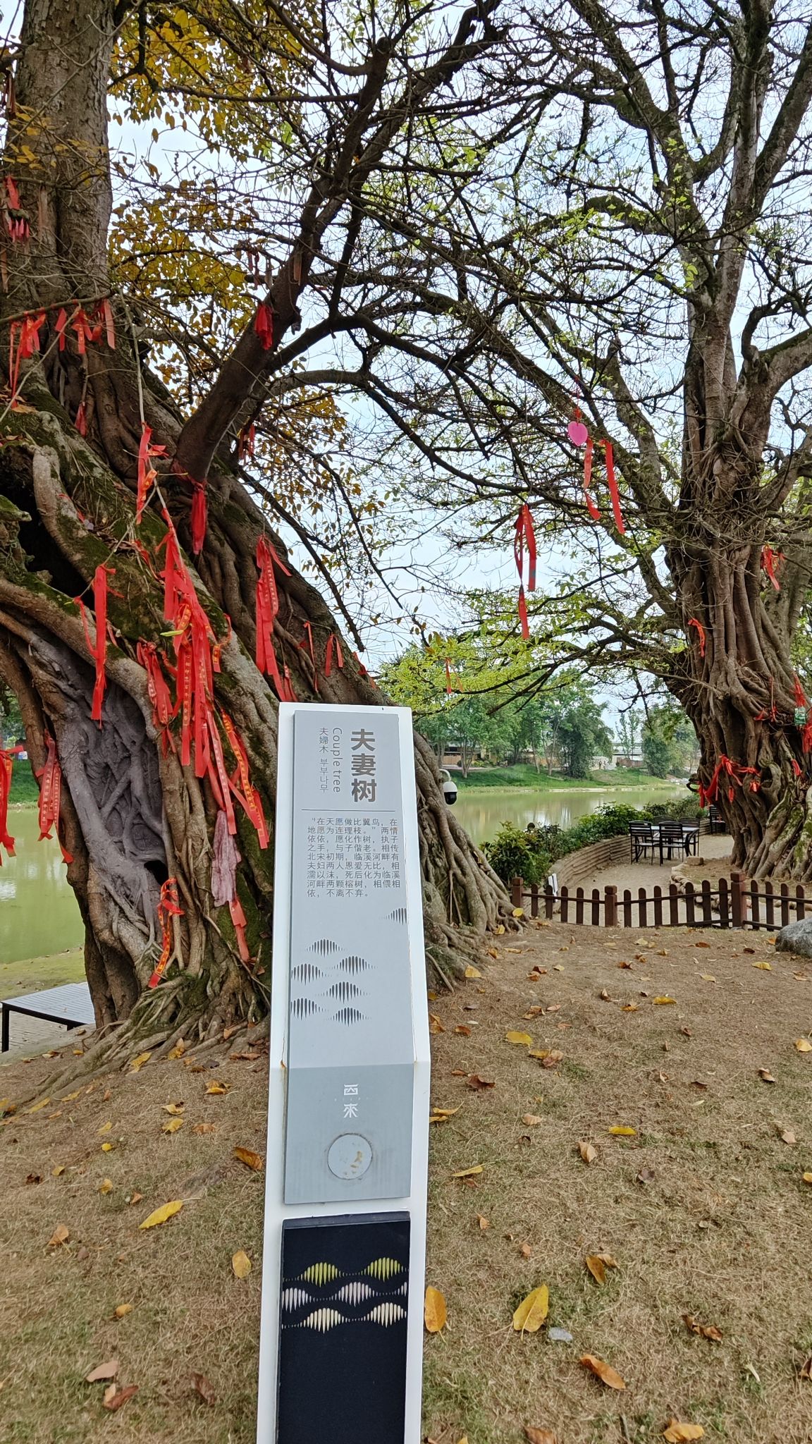 西来古镇旅行图片 1