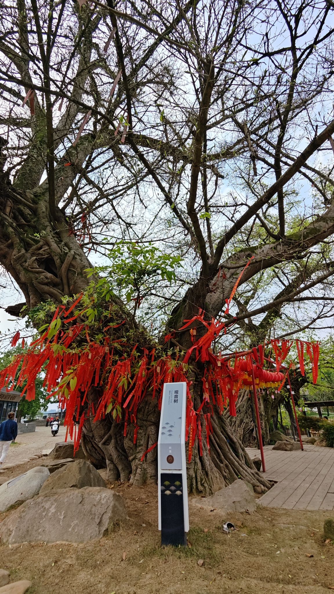西来古镇旅行图片 3