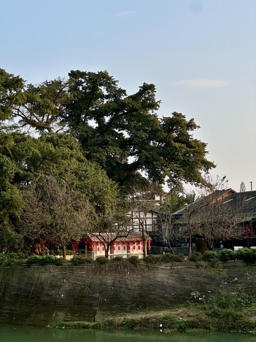 西来古镇旅行图片 3