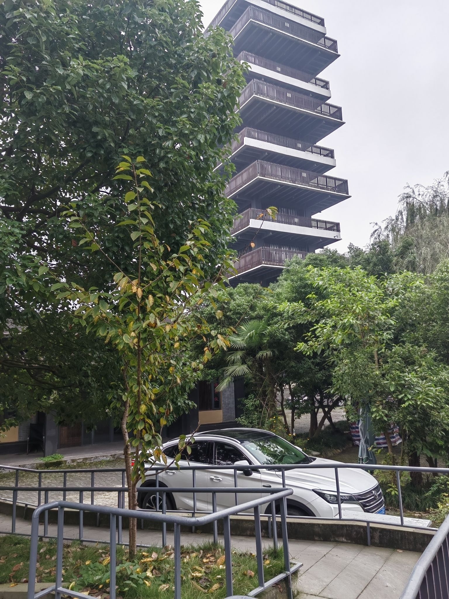 西来古镇旅行图片 3