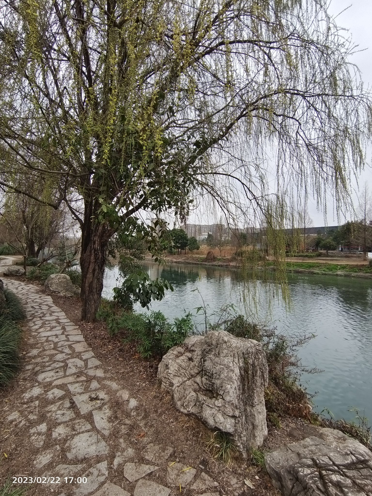 江安河生态公园旅行图片 3