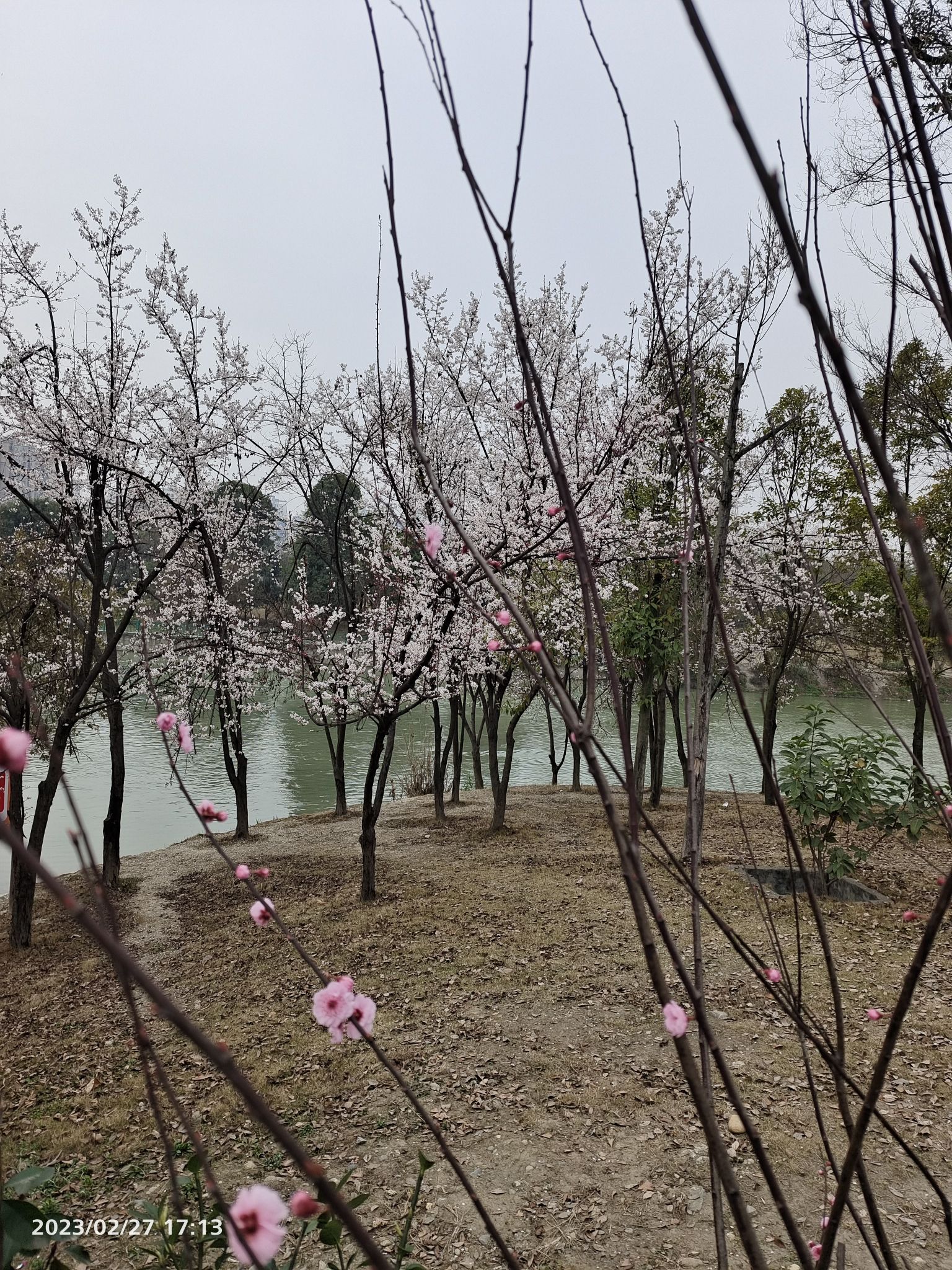 江安河生态公园旅行图片 1