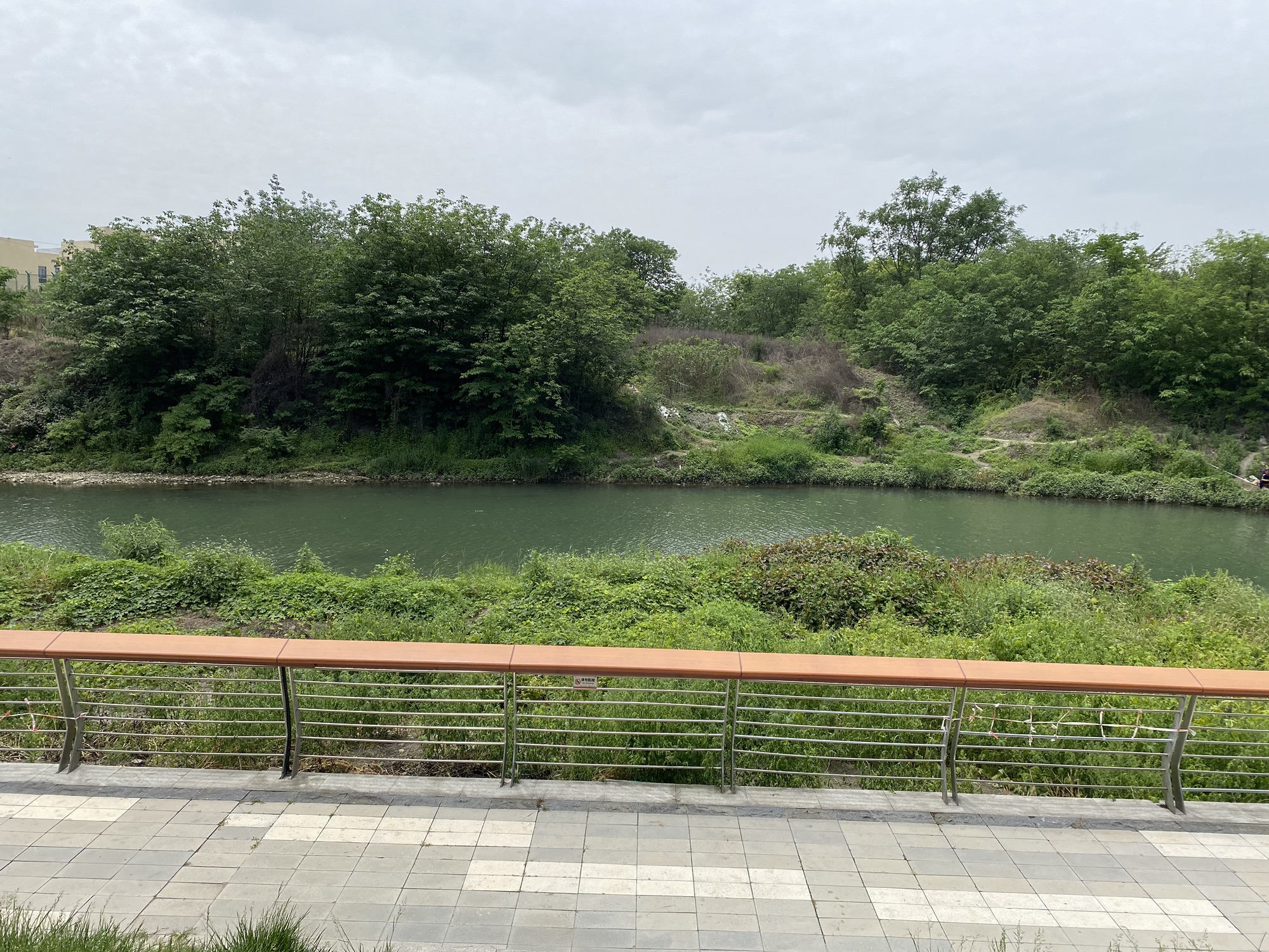 江安河生态公园旅行图片 3
