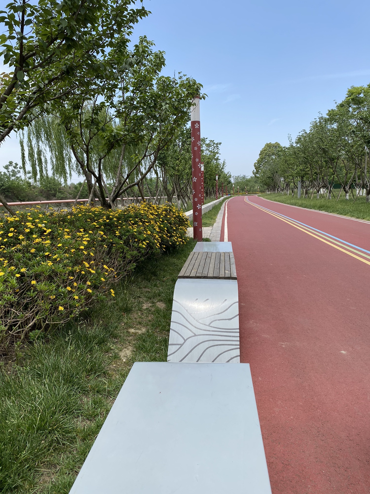 江安河生态公园旅行图片 2