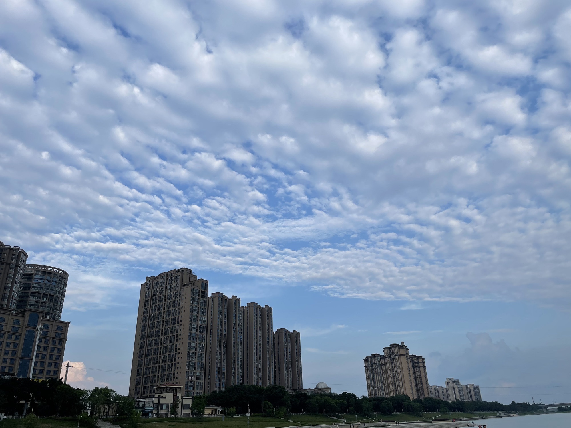 太阳岛旅行图片 1