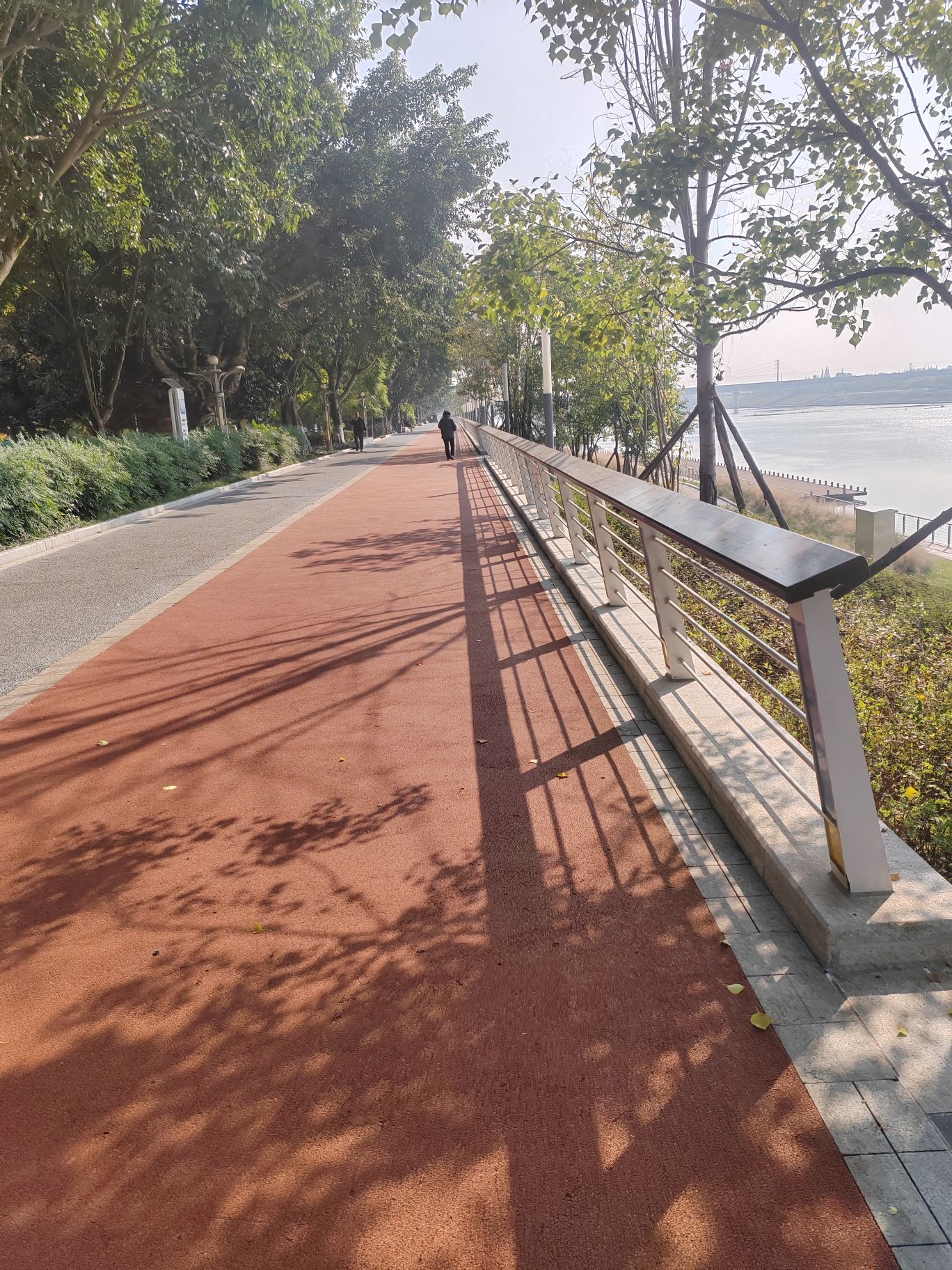太阳岛旅行图片 2