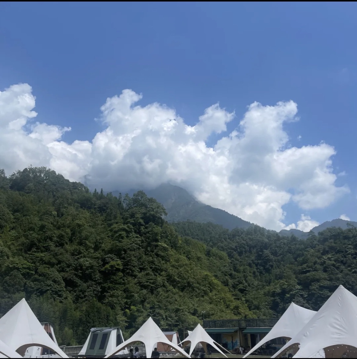 鸡冠山森林公园旅行图片 1