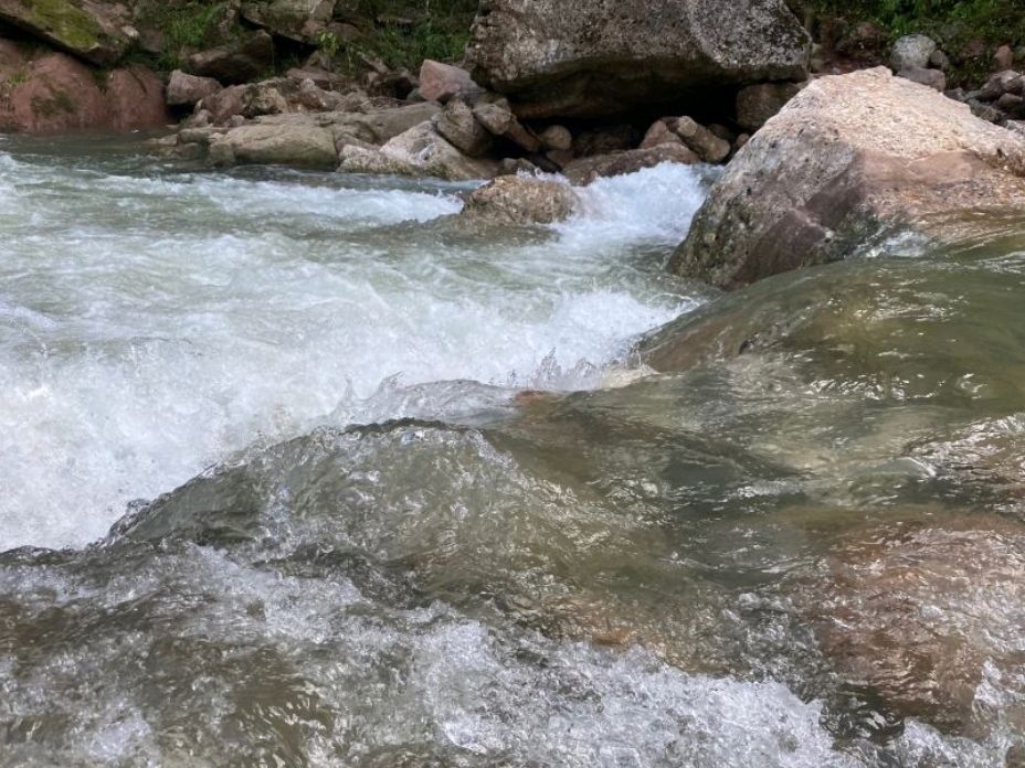鸡冠山森林公园旅行图片 3