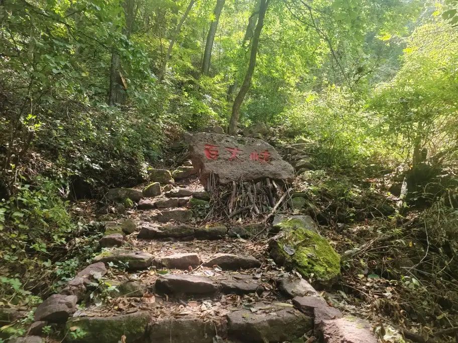 鸡冠山森林公园旅行图片 1