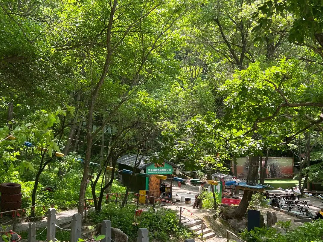 鸡冠山森林公园旅行图片 3