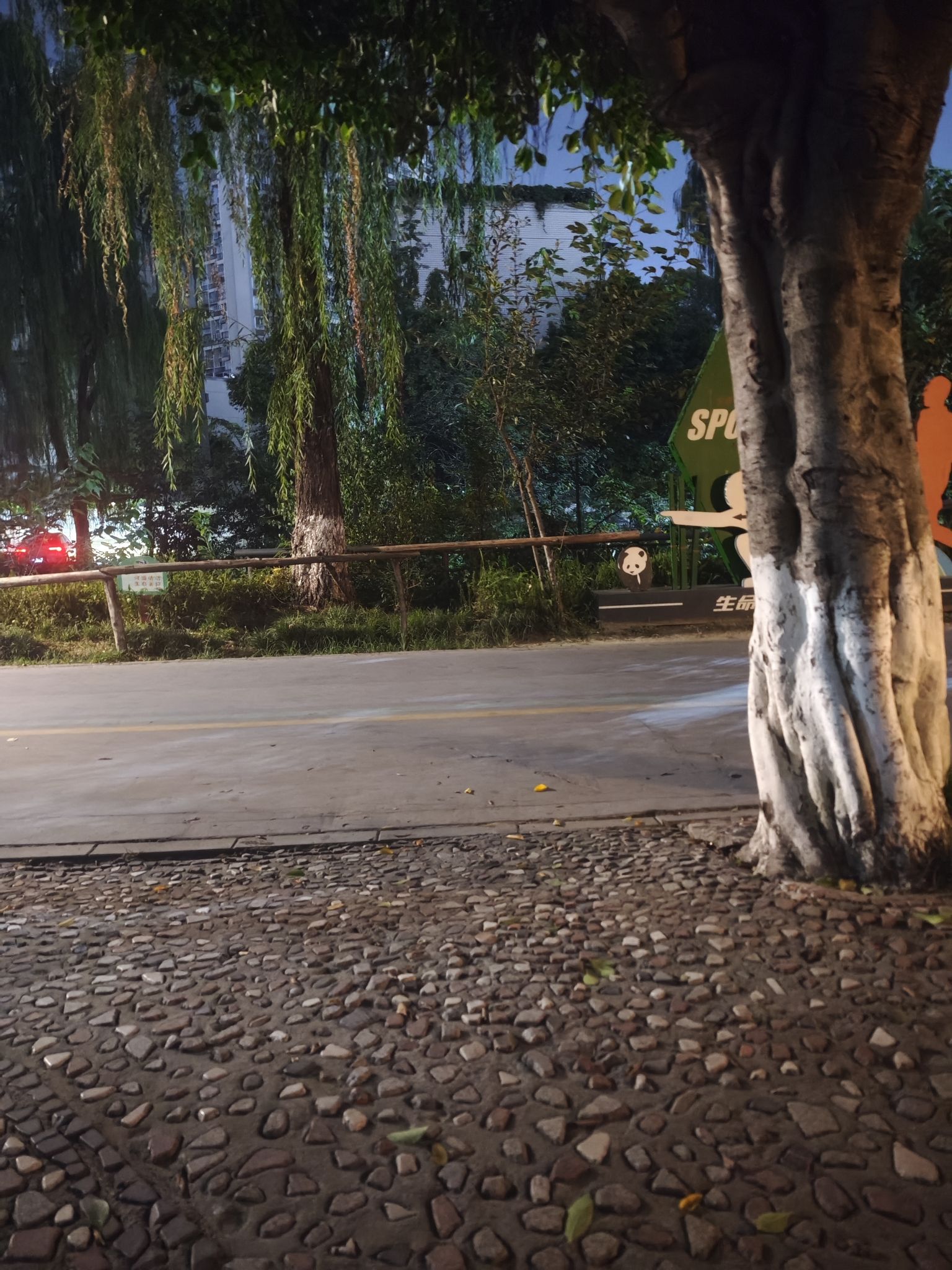 石犀运动公园旅行图片 2
