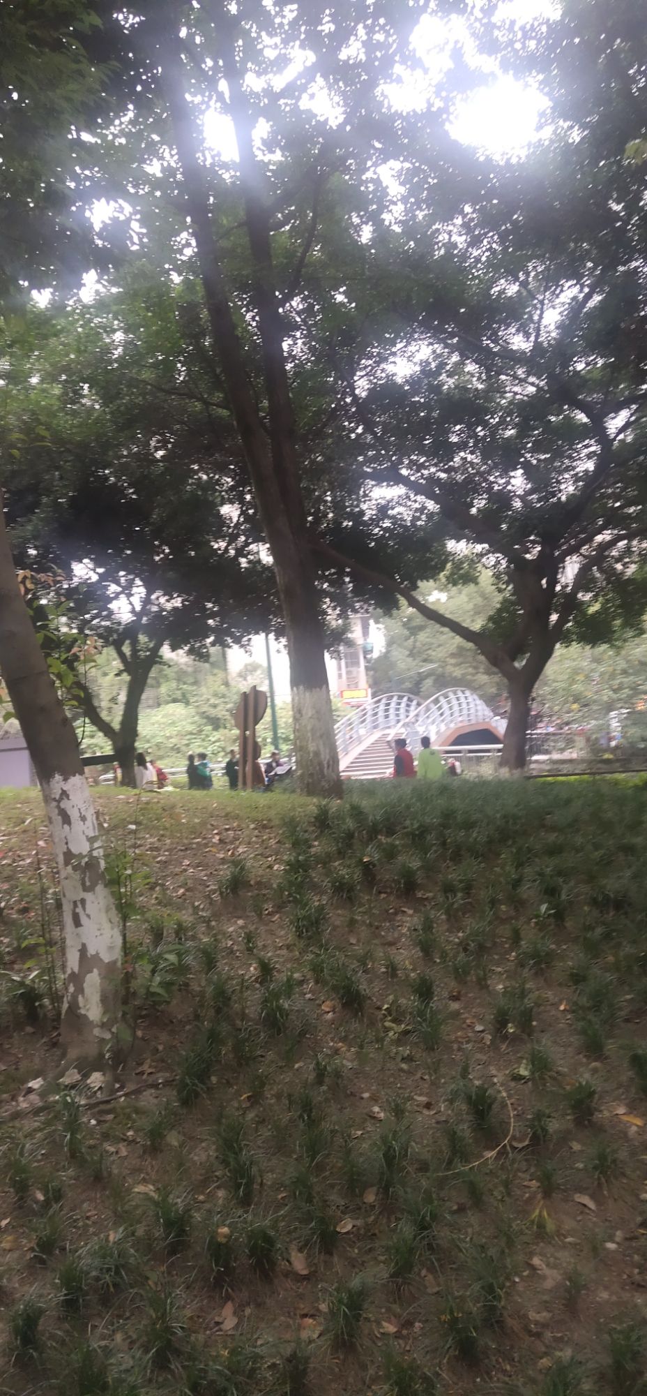 石犀运动公园旅行图片 3
