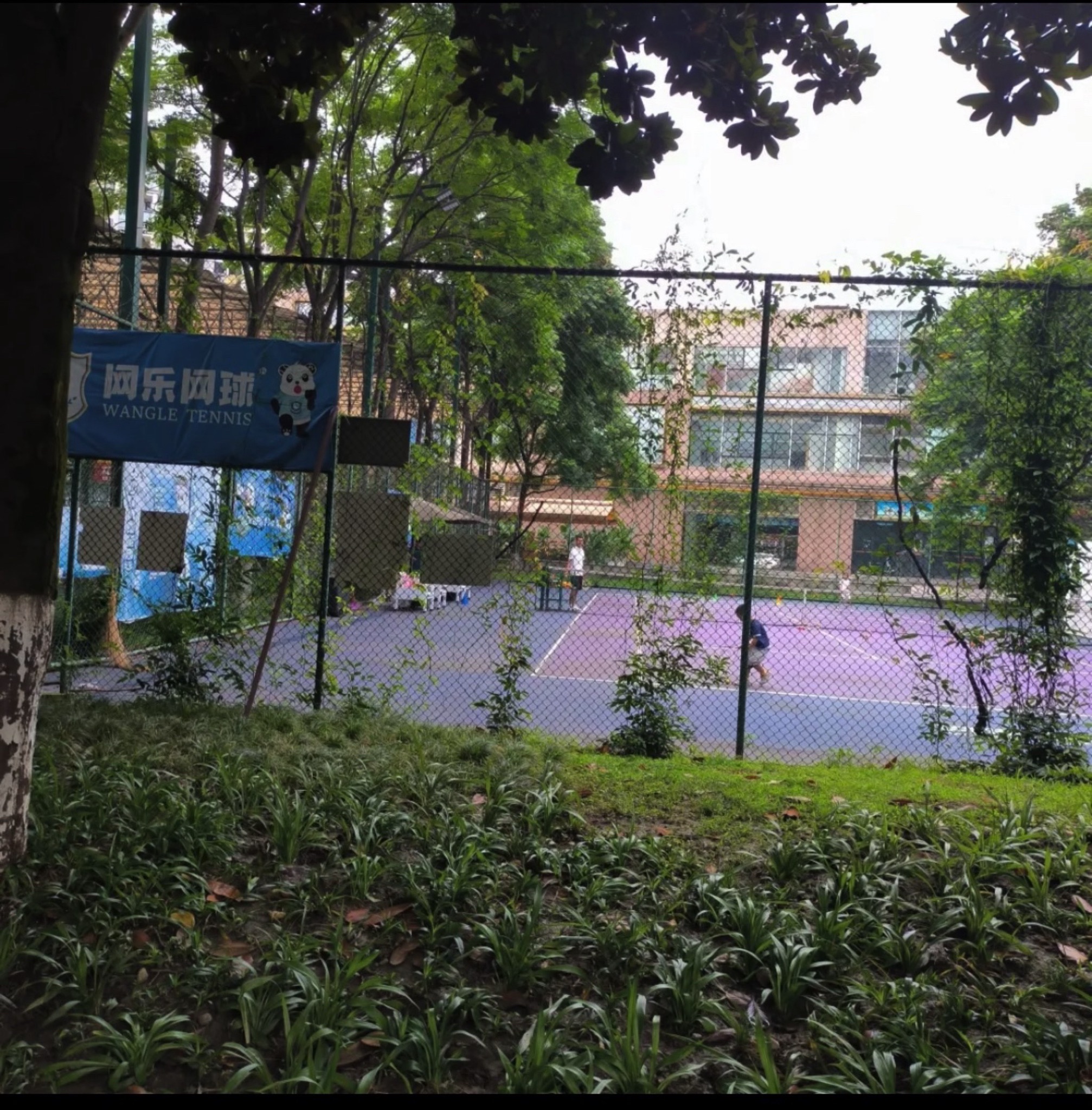 新都体育森林公园旅行图片 1
