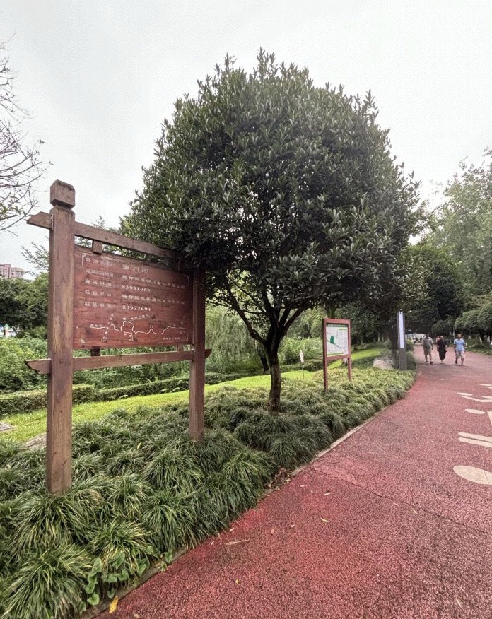 新都体育森林公园旅行图片 3