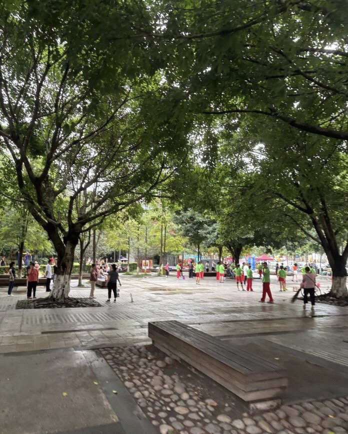 新都体育森林公园旅行图片 2