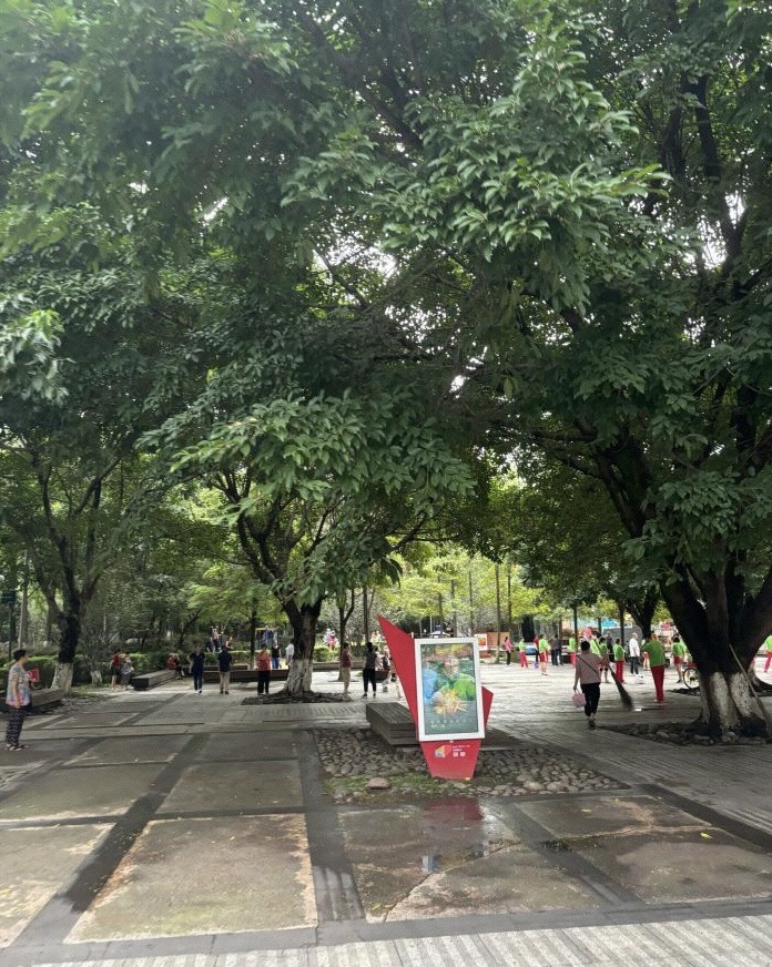 新都体育森林公园旅行图片 1