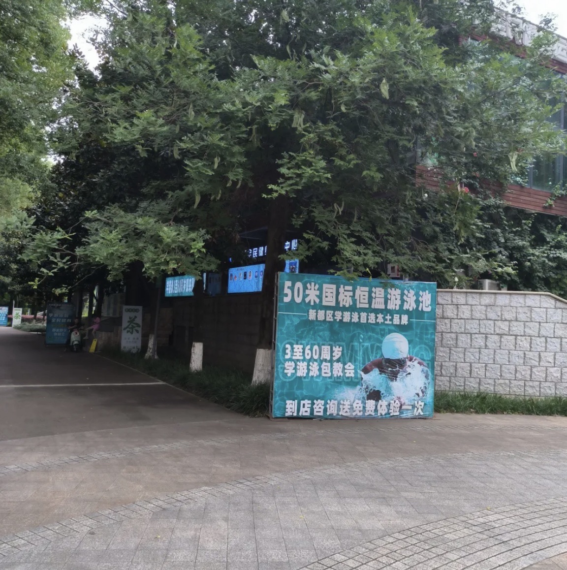 新都体育森林公园旅行图片 3
