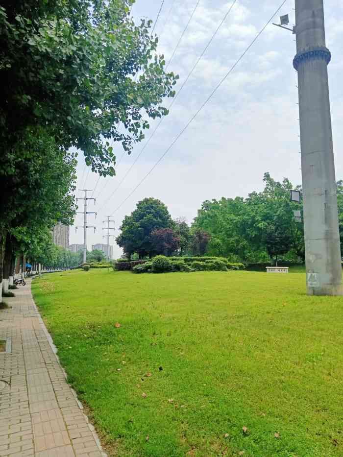中海体育公园旅行图片 3