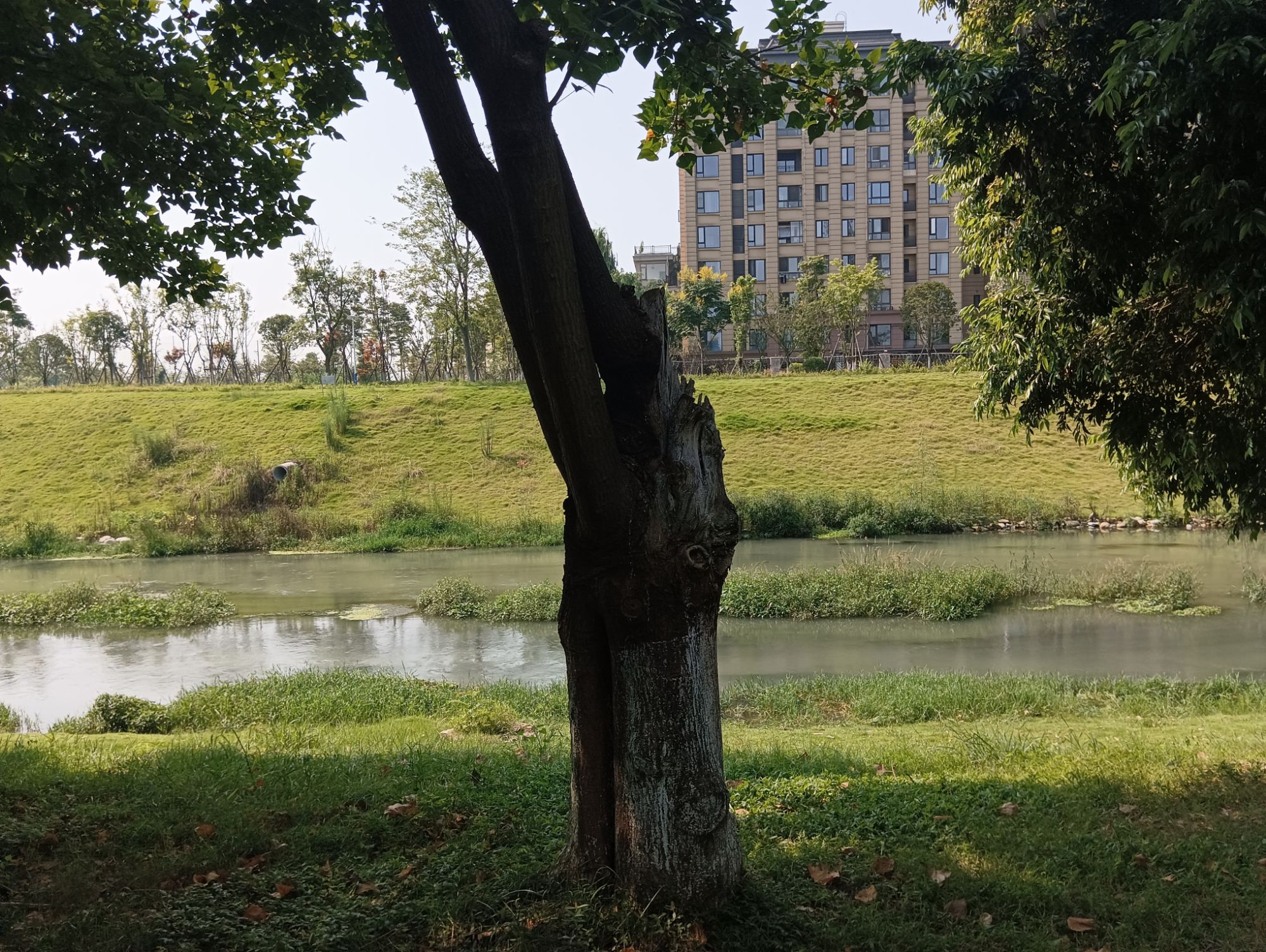 中海体育公园旅行图片 2