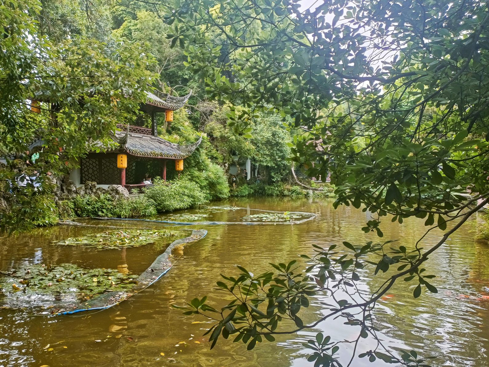 罨画池旅行图片 2