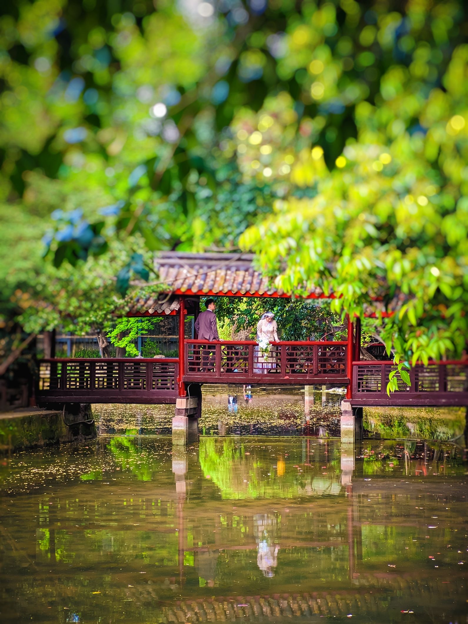 罨画池旅行图片 1