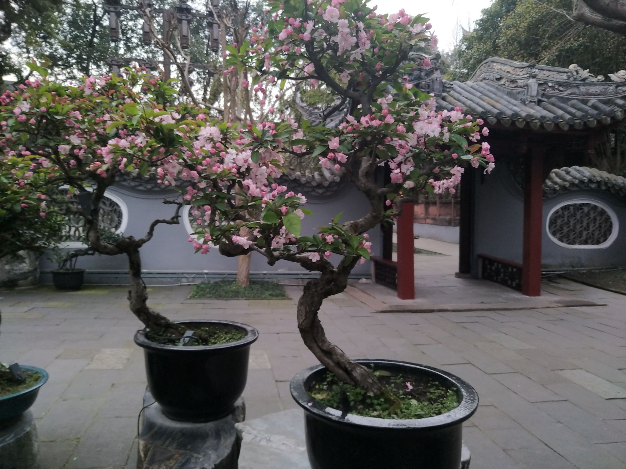 罨画池旅行图片 3