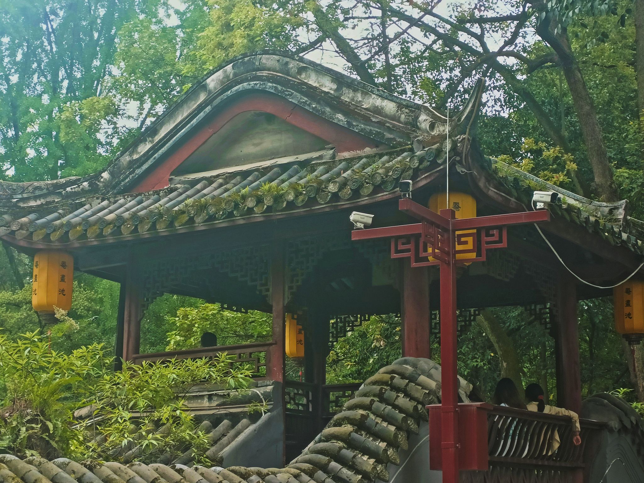 罨画池旅行图片 3