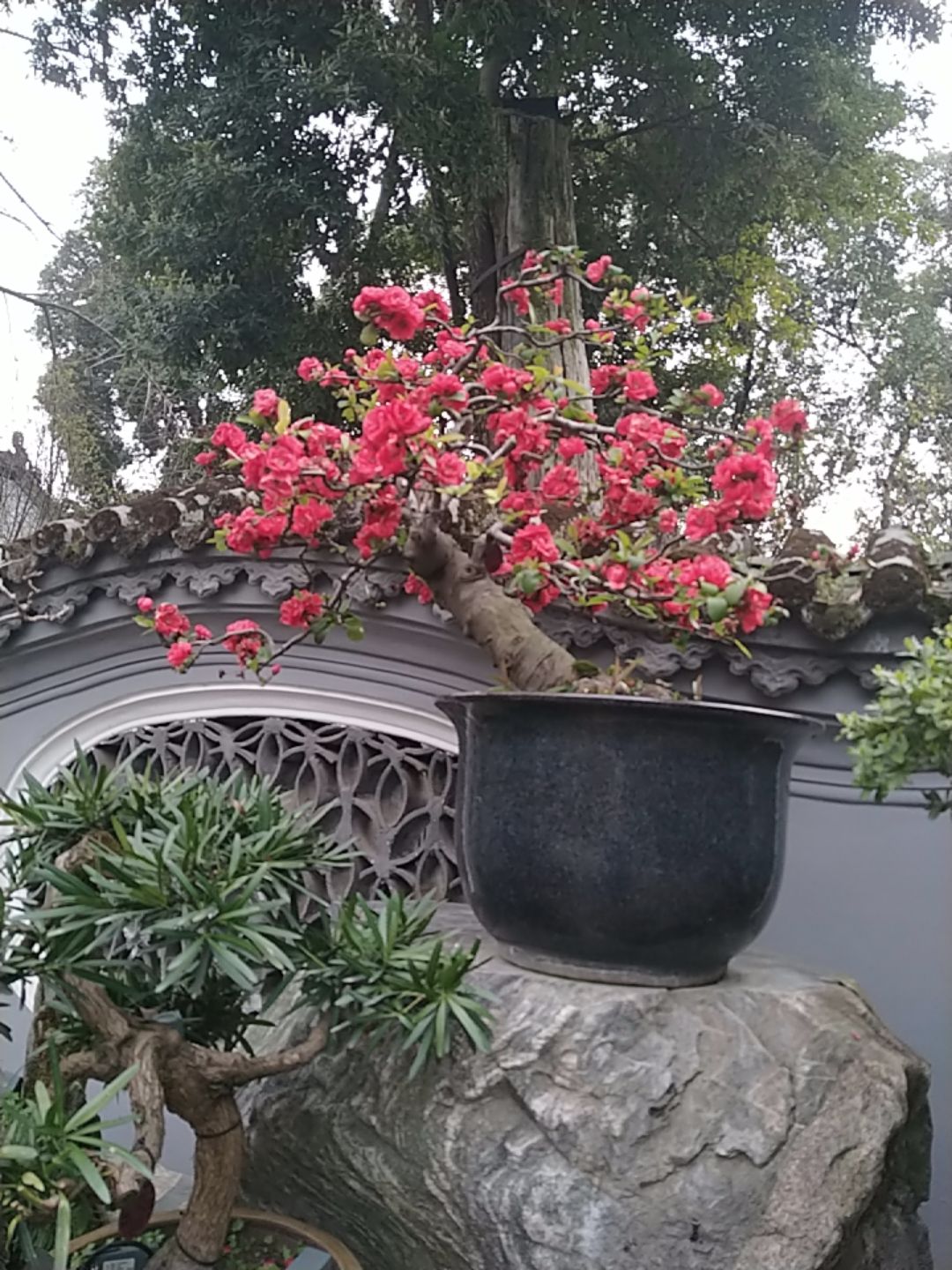 罨画池旅行图片 1