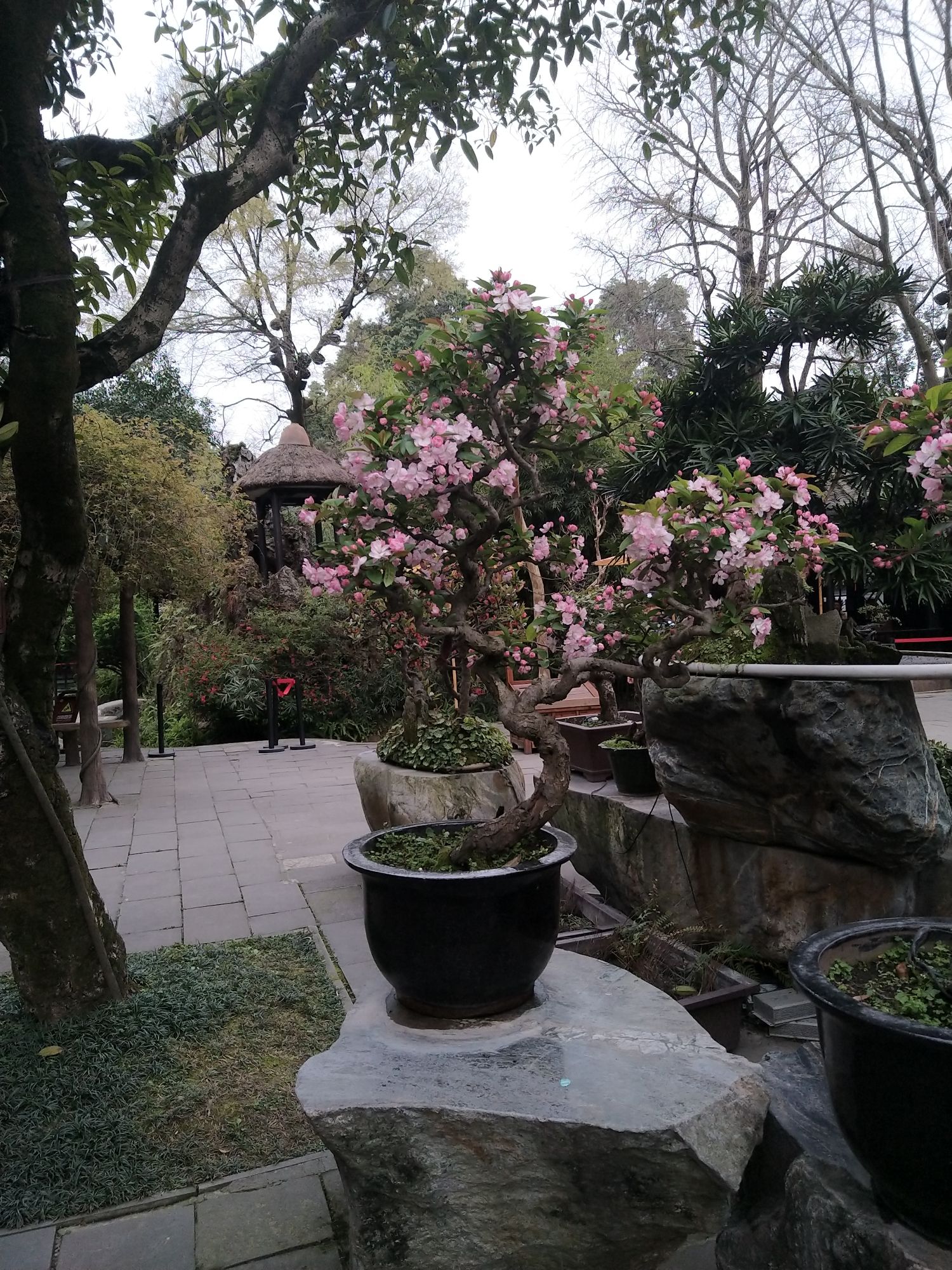 罨画池旅行图片 2