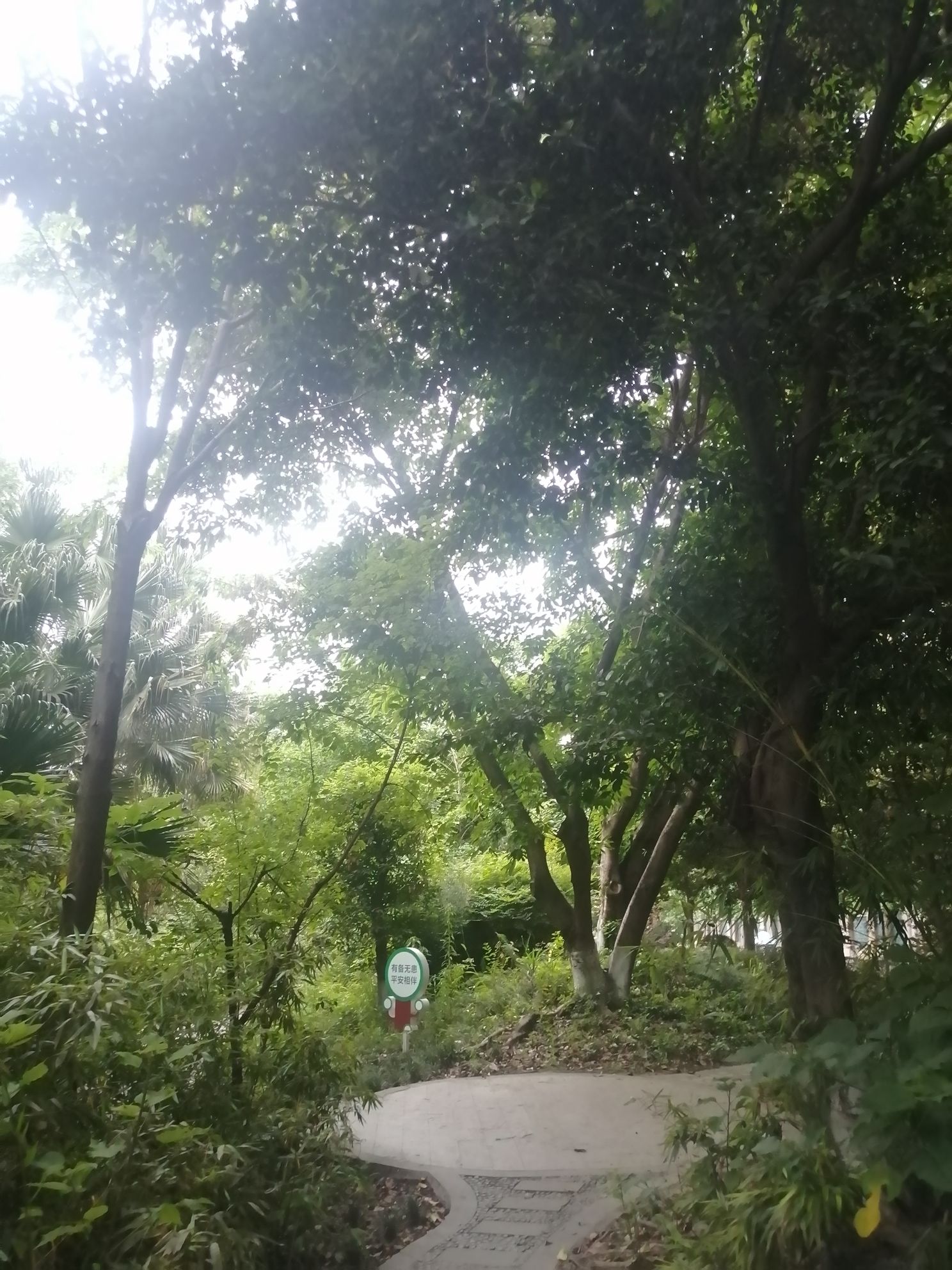 橡树林滨河公园旅行图片 3