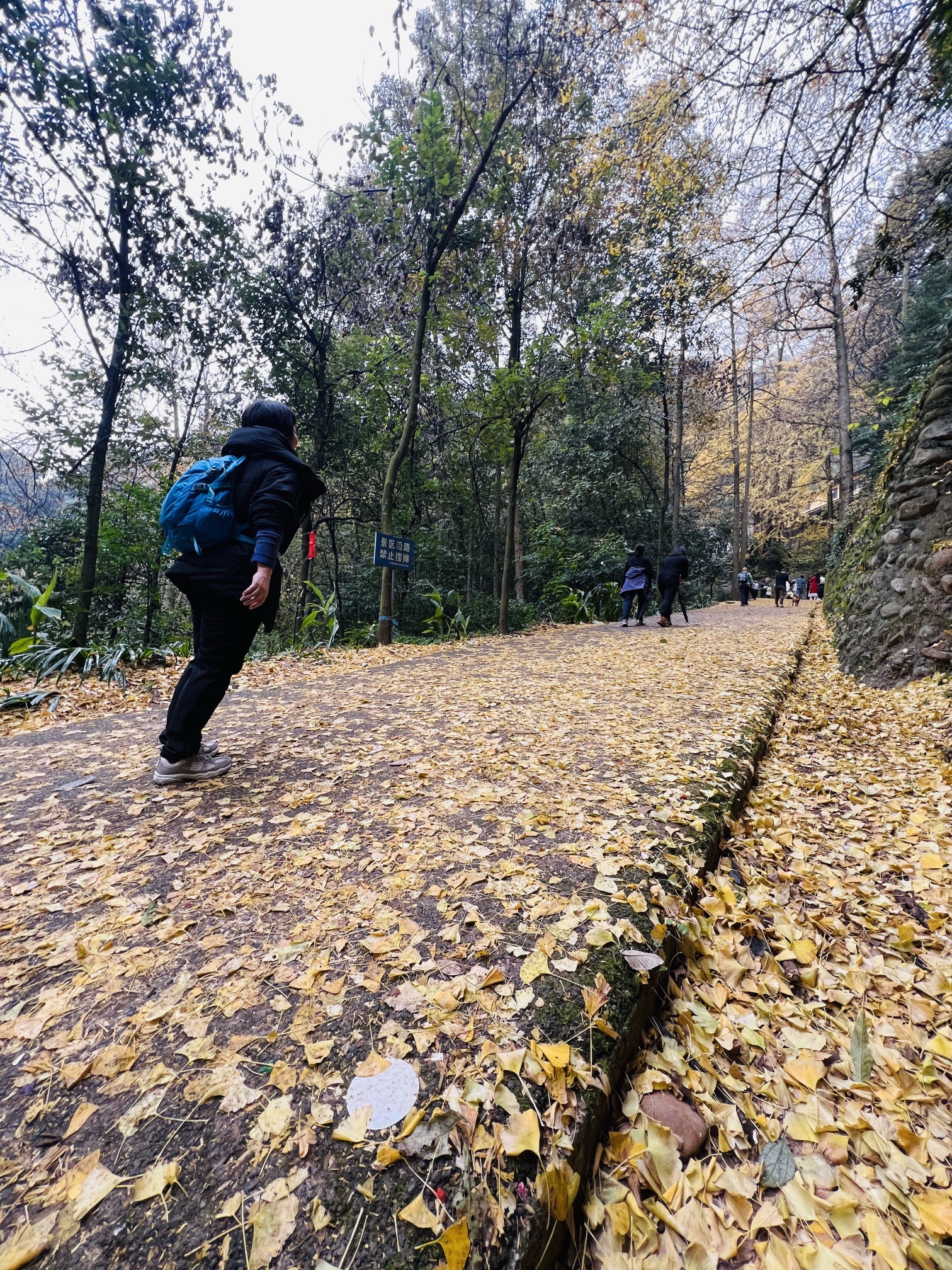 怀远古镇旅行图片 2