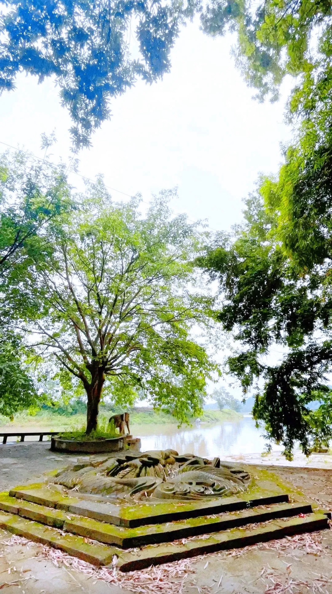 毛家湾森林公园旅行图片 1