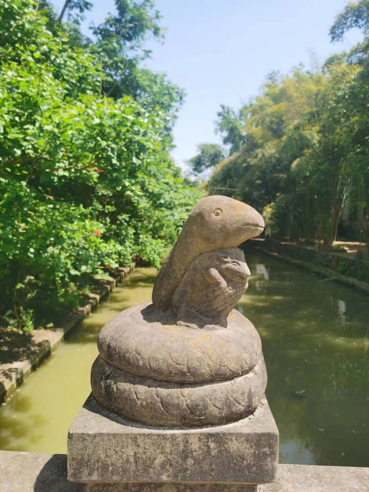 毛家湾森林公园旅行图片 3