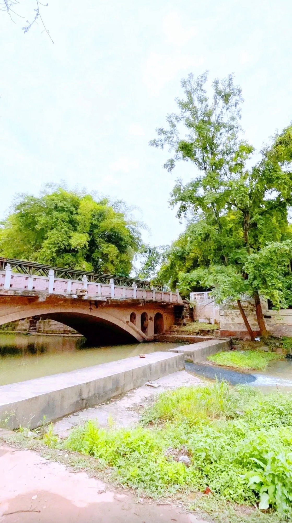 毛家湾森林公园旅行图片 2
