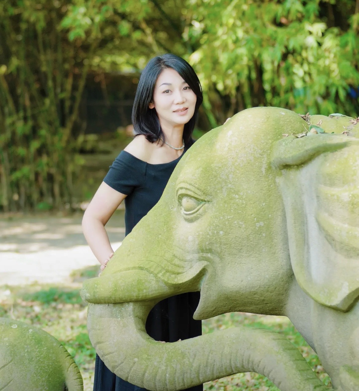 毛家湾森林公园旅行图片 3