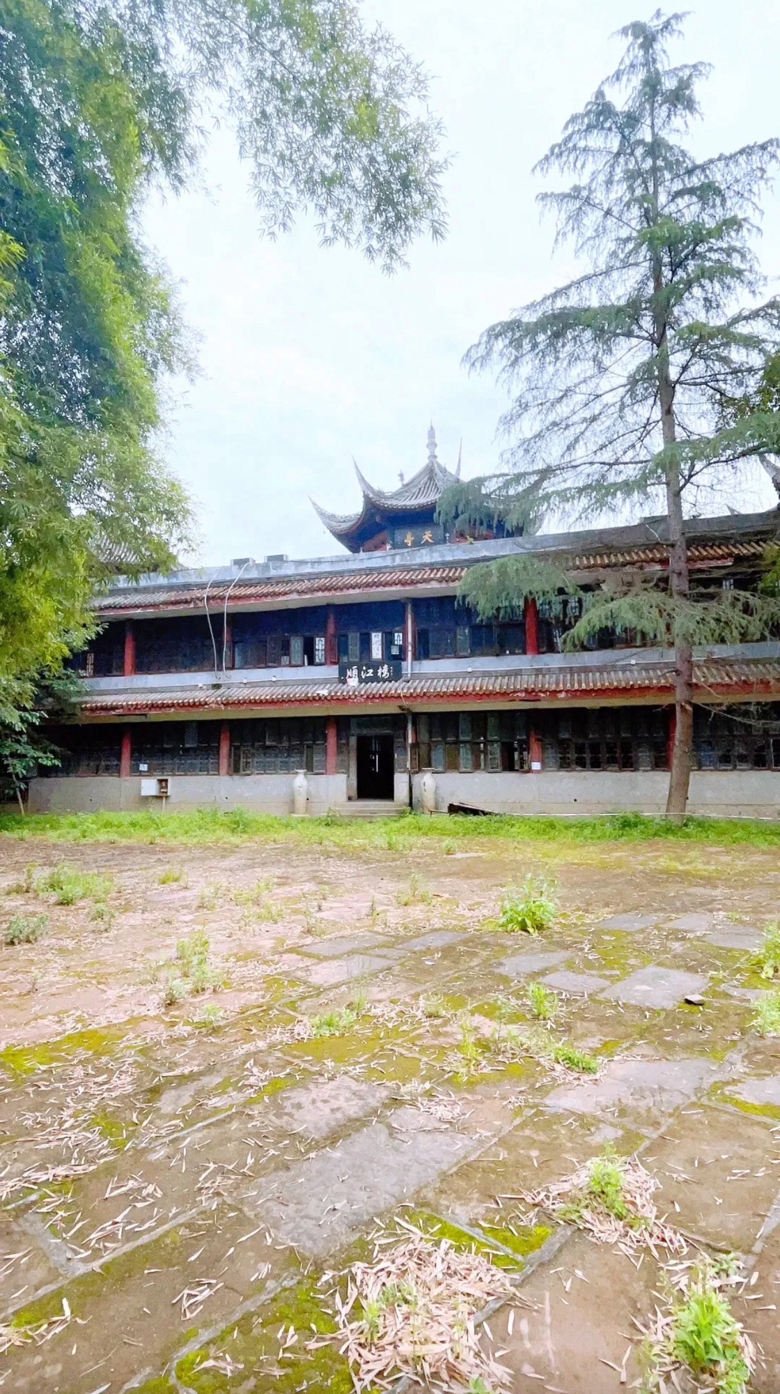 毛家湾森林公园旅行图片 3