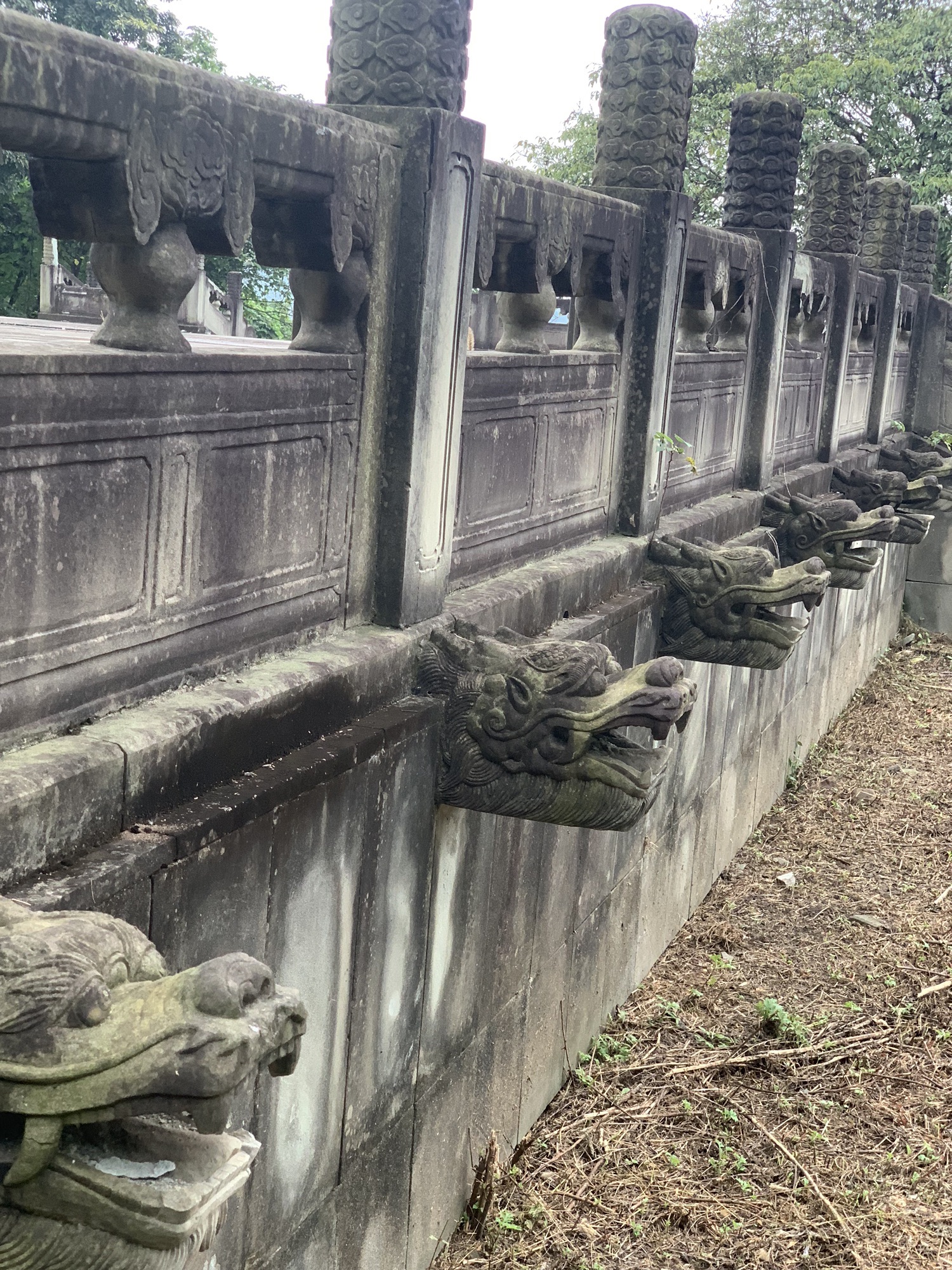 毛家湾森林公园旅行图片 3