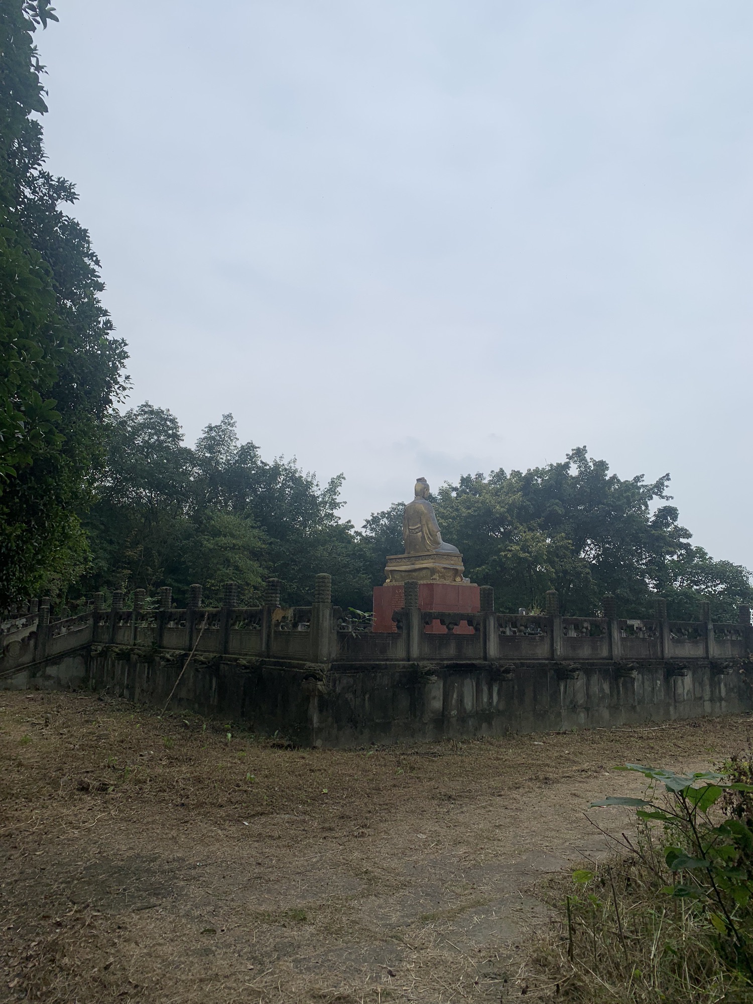 毛家湾森林公园旅行图片 2