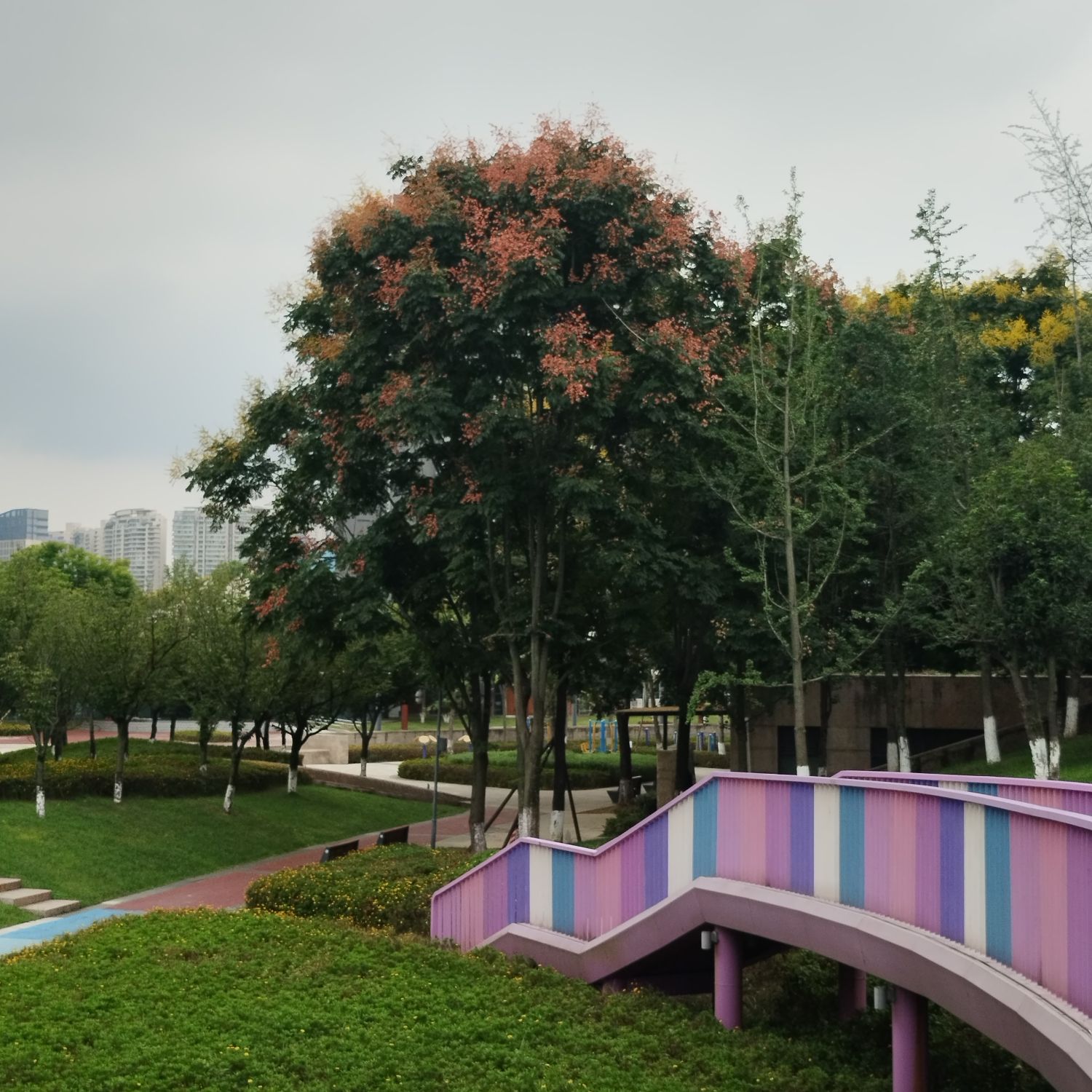 桂龙公园旅行图片 2