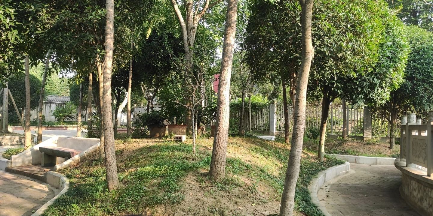 东塔寺