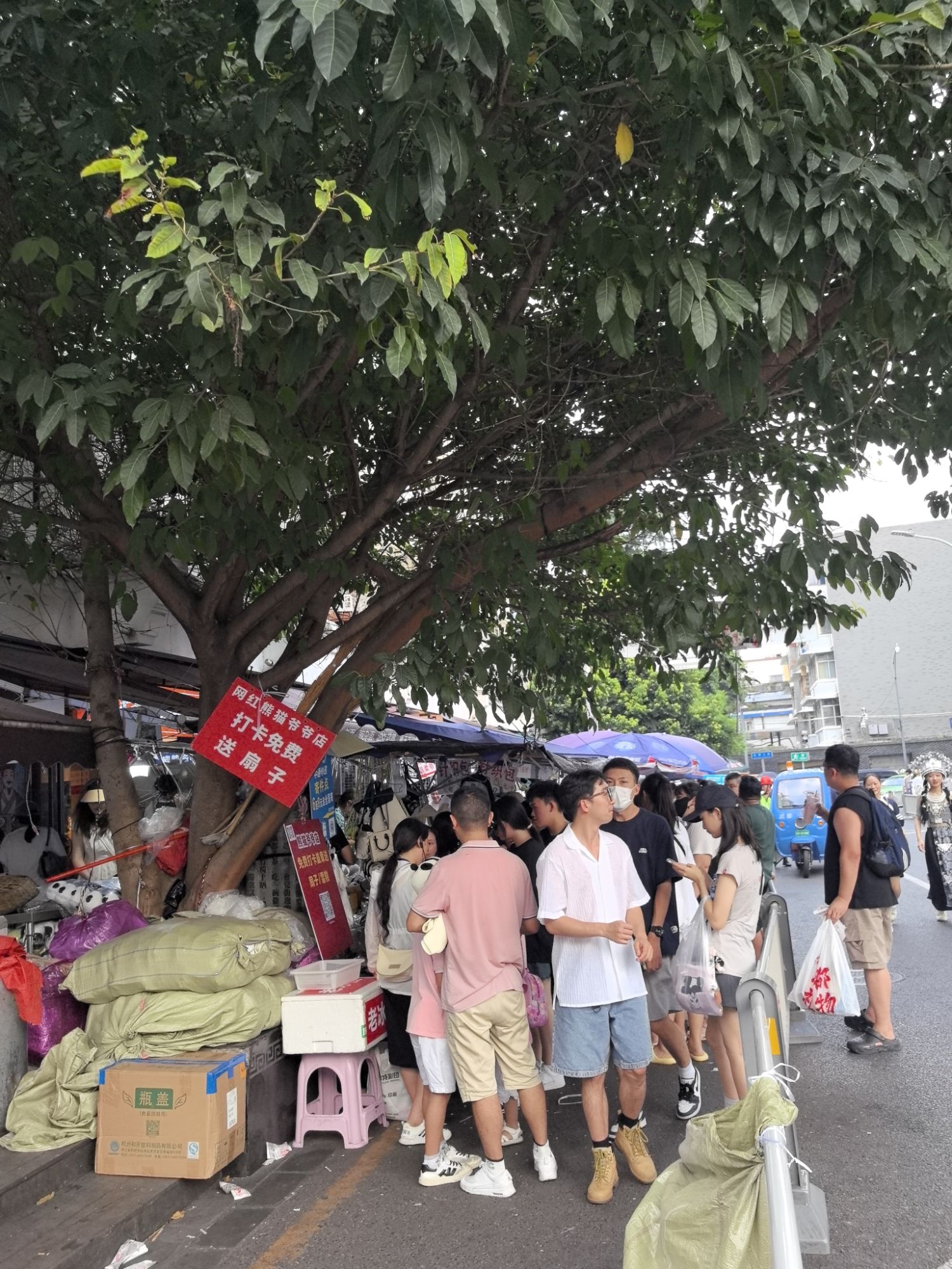 宽窄巷子东广场旅行图片 2