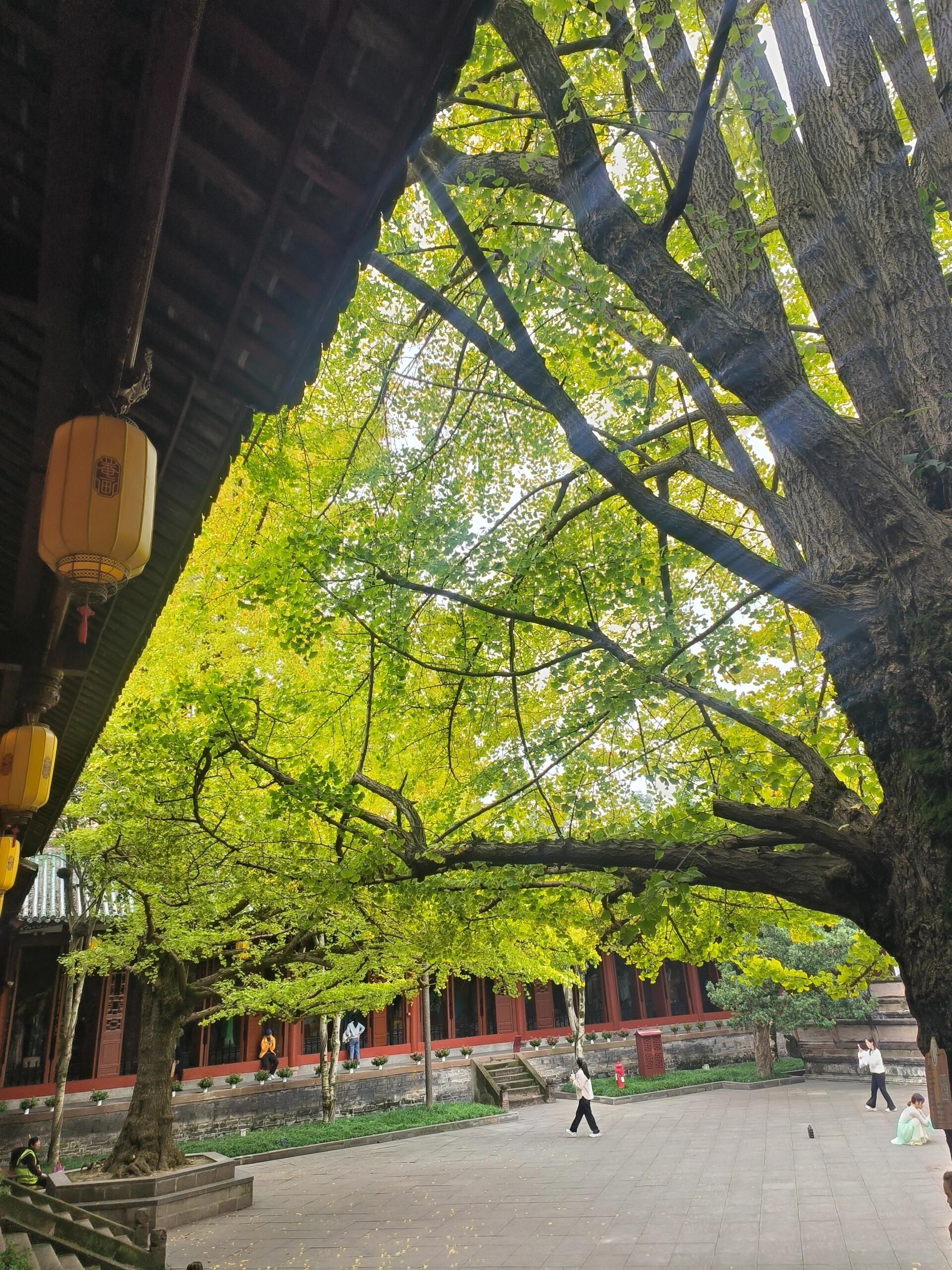 元通古镇旅行图片 2
