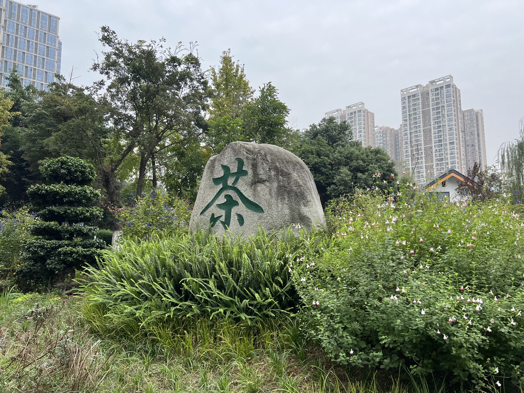 茶文化公园旅行图片 1