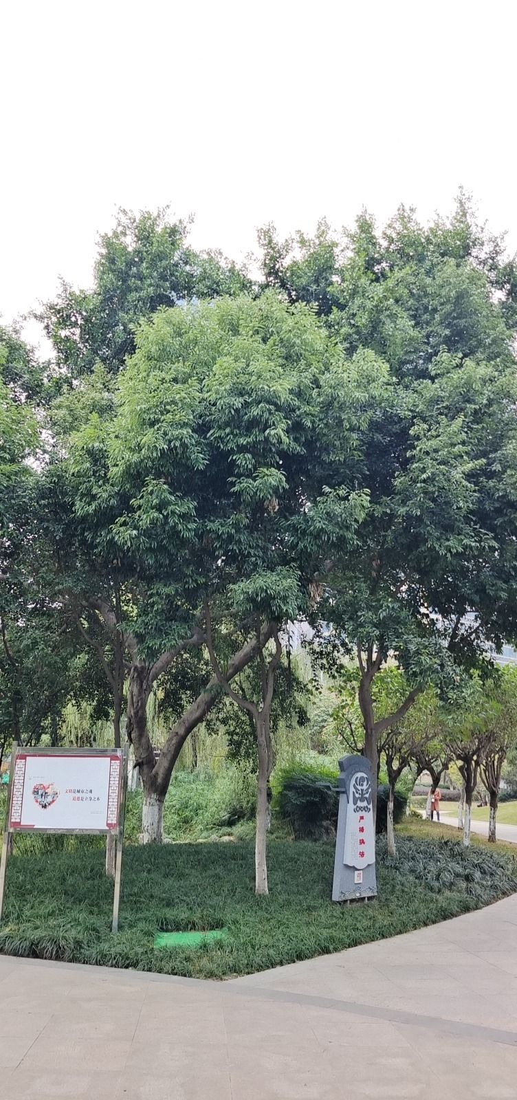 茶文化公园旅行图片 1